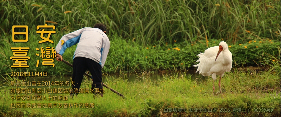 365 日安，臺灣之2018年11月4日
